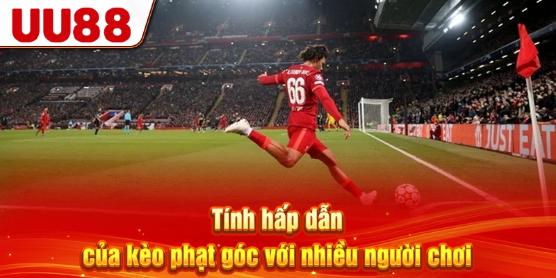 Tính hấp dẫn của kèo phạt góc với nhiều người chơi